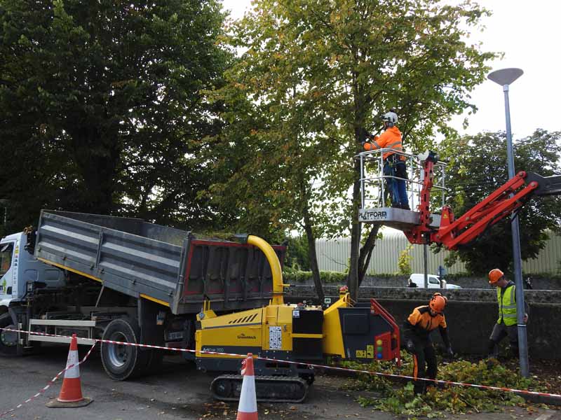 Commercial grounds management services by Elm