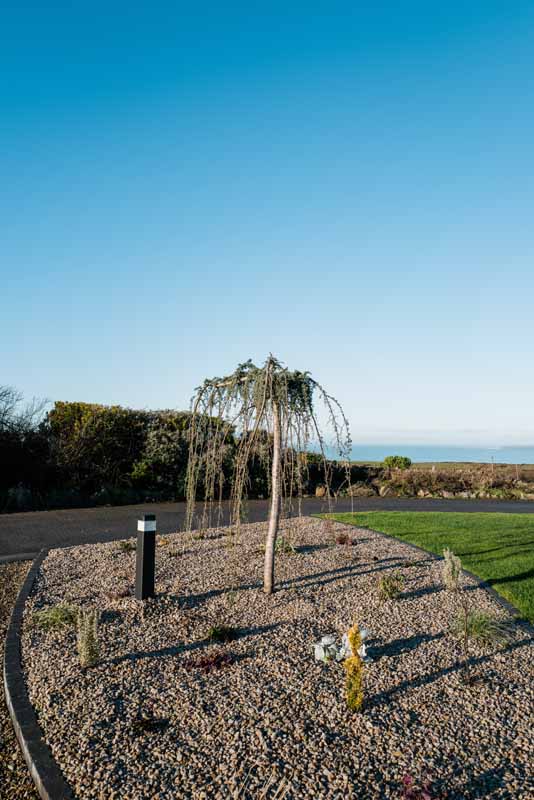 Garden maintenance and upkeep by Elm